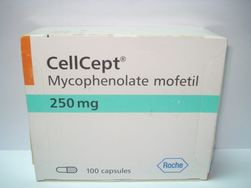 cellcept 250 mg 100 cap